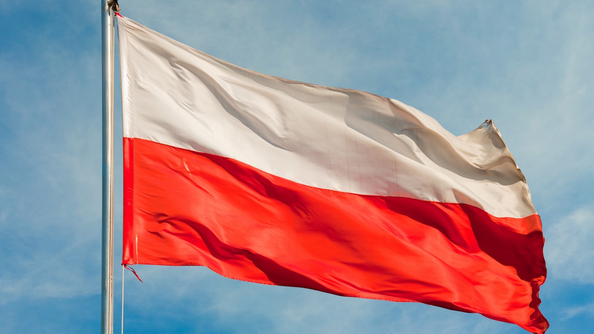 Projekt Polish Heritage Day, którego pomysłodawcą i organizatorem jest Ambasada RP w Londynie, ma na celu ustanowienie na terenie Wielkiej Brytanii obchodów związanych ze Świętem Narodowym 3 Maja - czytamy na stronie Goniec.com.