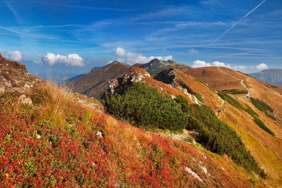 Tatry Zachodnie - szlak na Siwą Przełęcz