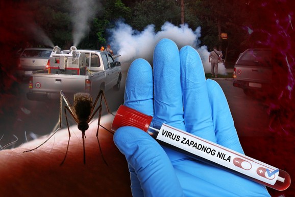 EVROPOM HARA OPASAN VIRUS, SRBIJA U OBRUČU!  Mnogi pacijenti imaju OZBILJNE KOMPLIKACIJE infekcije koju prenose komarci