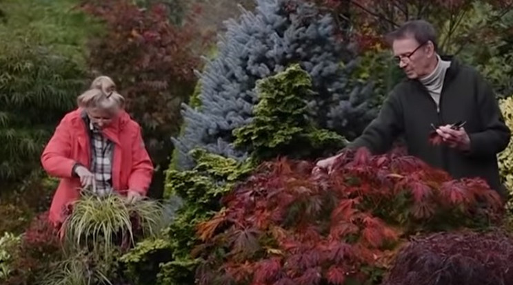 Egy nyugdíjas házaspár birtokolja Anglia legszebb kertjét / Fotó: Youtube  - Daily Mail