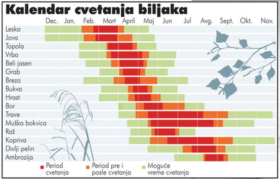 Kalendar cvetanja biljaka i alergija