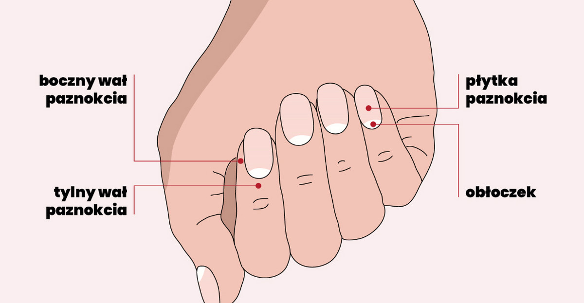 Co Paznokcie Mówią O Zdrowiu To Może Być Pierwszy Sygnał Ostrzegawczy Infografika 6432