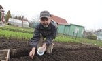 Jak zebrać dobre plony z idealnej działki