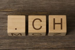 "H" czy "CH"? Mistrzowski quiz dla wytrwałych. Oto 12 pułapek ortograficznych. Zdobędziesz chociaż 9/12?