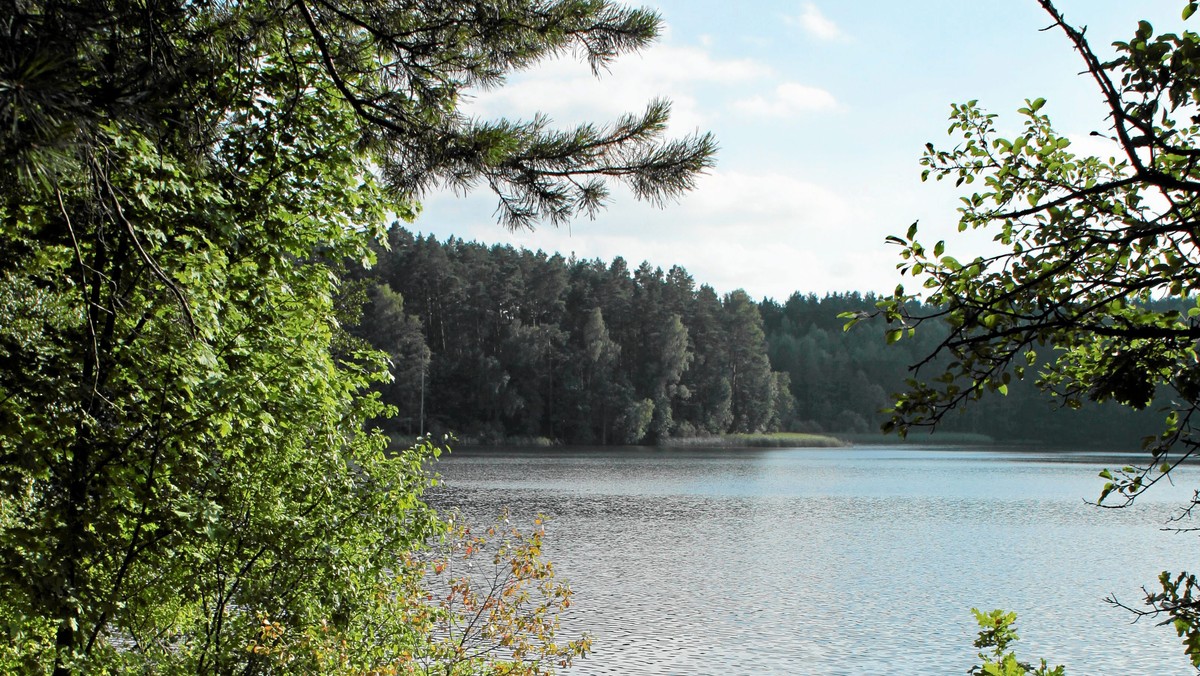 Wójtowie i burmistrzowie mazurskich gmin, na terenie których ma powstać Mazurski Park Narodowy, nie zgadzają się na pozbawienie samorządów prawa do wyrażania zgody na utworzenie rezerwatu - informuje "Nasz Dziennik".