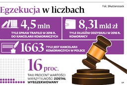 Sprzeczne opinie i ekspertyzy, czyli chaos w egzekucji