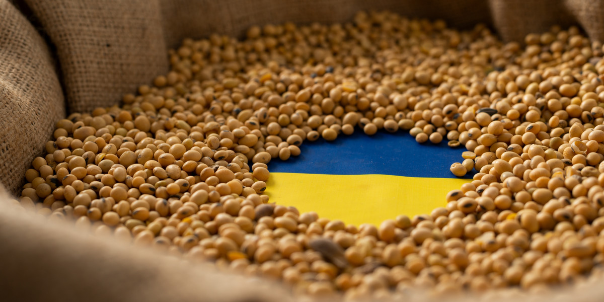 Soja z marginalnej uprawy stała się na Ukrainie najbardziej dochodową rośliną uprawową