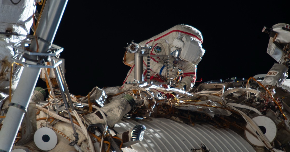 Czy życie może przetrwać w kosmosie? NASA zamierza to sprawdzić. "Raporty sugerują, iż to możliwe"