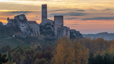 Jurajskie tajemnice. Mumia, wykałaczka neandertalczyka i śmierć głodowa w lochu