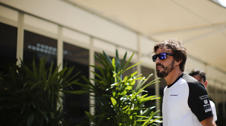 Igazak a hírek miszerint Fernando Alonso ismét F1-s autóba ül /Fotó:Northfoto