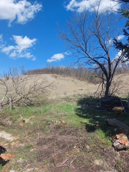 Ogroman plac i jeftina kuća za samo 18. 000 evra