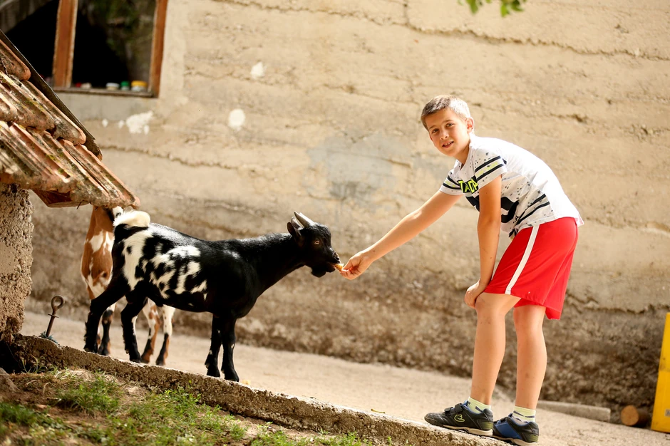 Dragan sa svojim životinjama 