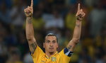 Ibrahimovic wsparł niepełnosprawnych