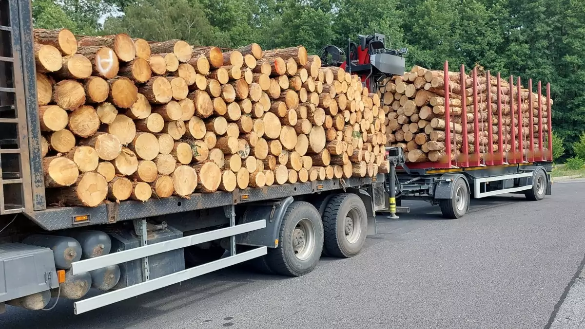 Nieprawidłowo przewożone kłody drewna na ciężarówce