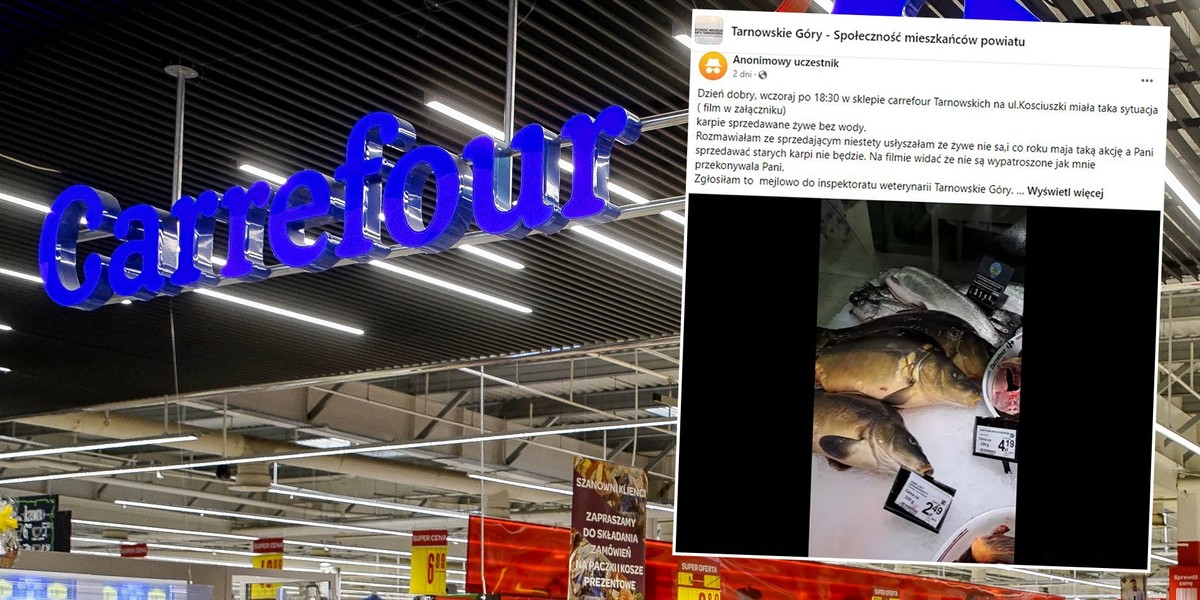 Sklepy odchodzą od sprzedaży żywych karpi. Tymczasem w Carrefourze...