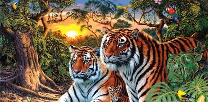 Czy potrafisz znaleźć wszystkie tygrysy na zdjęciu? Wielu próbowało, ale polegli