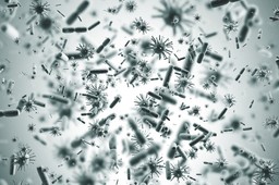 Za 20 lat będziemy umierać na choroby, które dziś możemy z łatwością pokonać. Nawet grypa może wywołać śmiercionośną pandemię