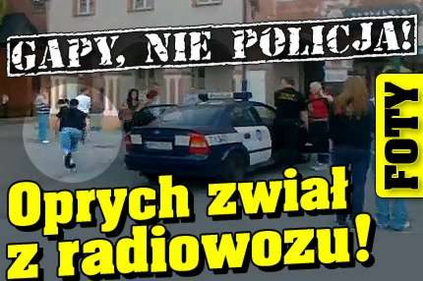 Gapy, nie policja! Oprych zwiał z radiowozu! FILM