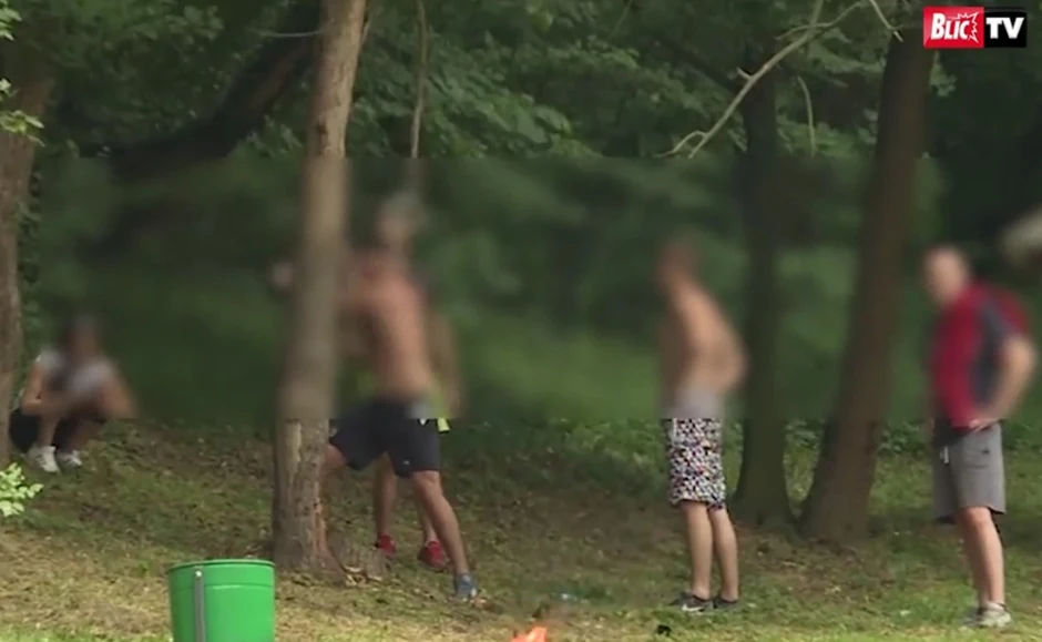 Prošlogodišnji incident u Košutnjaku