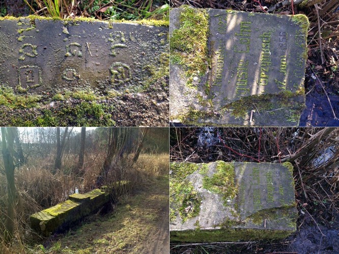 Fundacja 'From The Depths' prowadzi poszukiwania macew w całej Polsce