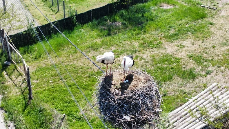 Rode došle u Čačak