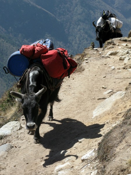 Szerpowie, życie z widokiem na Everest