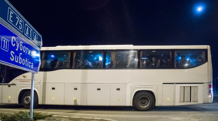 Visszaviszik a szállásaikra a menekülteket / Fotó: MTI - Balogh Zoltán