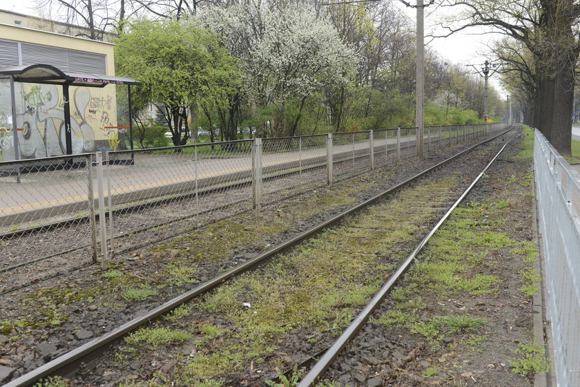 Torowisko na Biskupinie