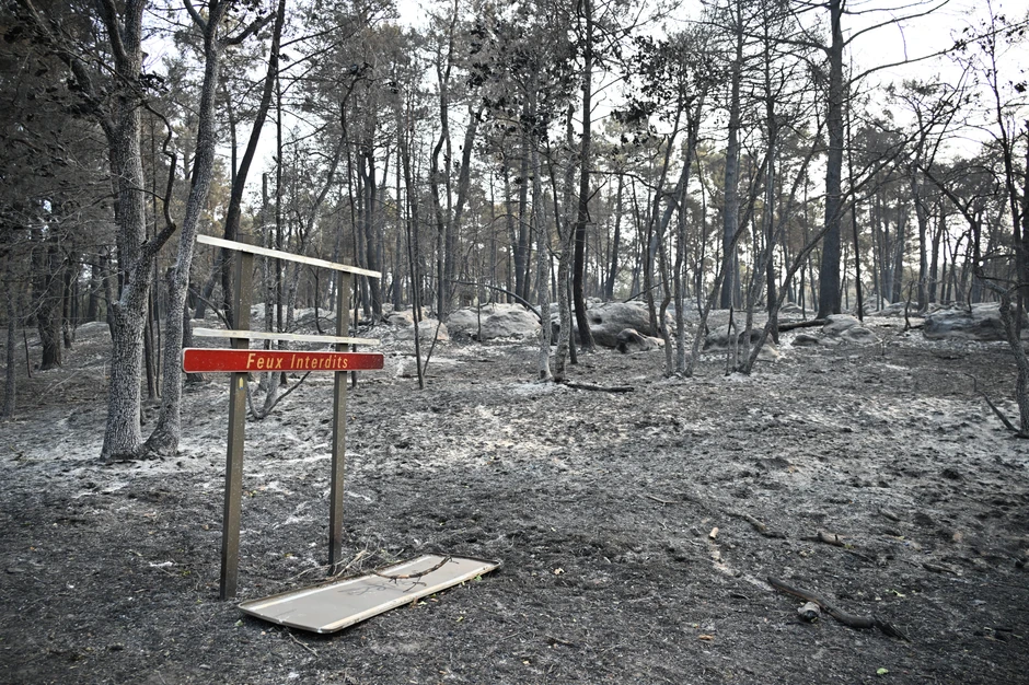 Požar u šumi Fontenblo, 14. jula
