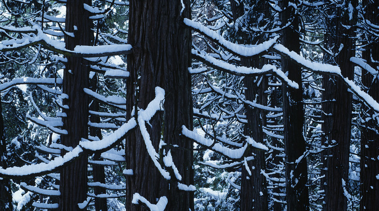 Január 7-től megérkezik az igazi tél / Fotó: Northfoto