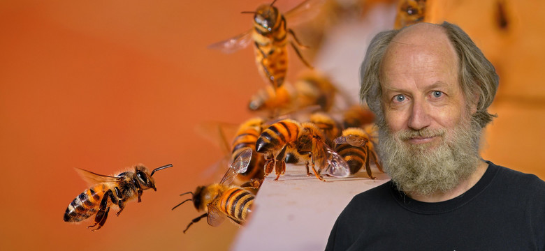 Niesłychana inteligencja pszczół. "Ich mózgi są jak małe superwydajne komputery"