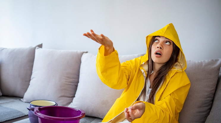 Ha tudatosan figyelünk arra, hogy rendben tartsuk a környezetünket, az közérzetünkre is visszahat /Fotó: shutterstock