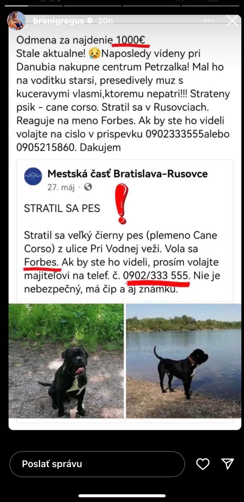 Takúto reakciu určite nečakala.
