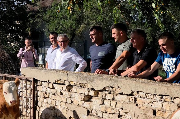 Došli su u Srbiju bez ičega, danas imaju stotine grla stoke i vinograde! Glamočić posetio porodicu Majkić: Njihova životna priča inspiriše celu zemlju