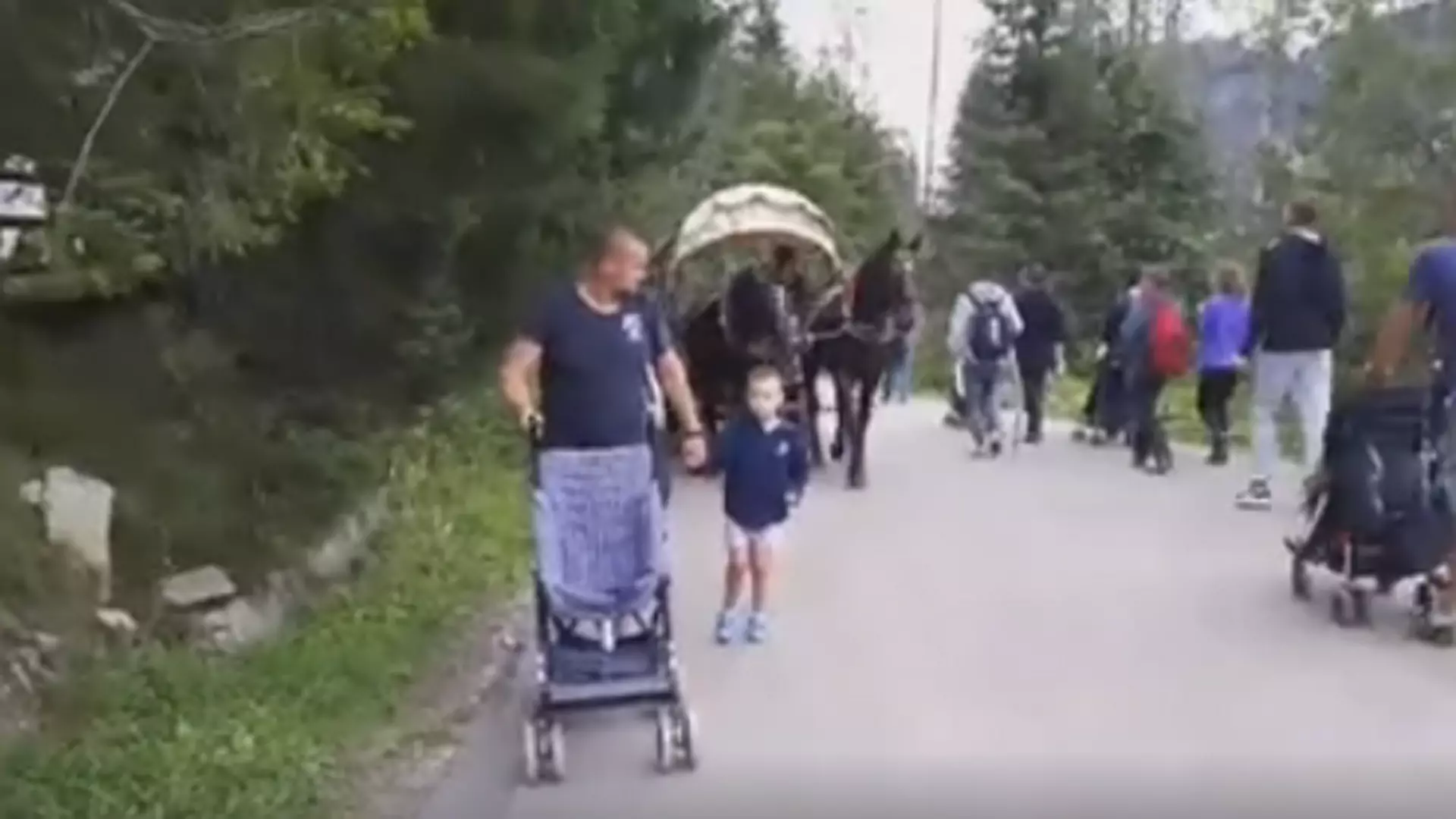 Niepełnosprawny chłopiec zawstydził turystów, którzy korzystają z dorożek w drodze na Morskie Oko