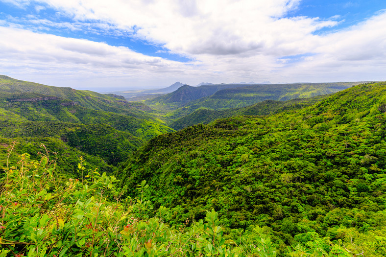 Dolina Ferney, Mauritius