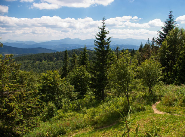 Beskid Śląski i Szczyrk - wspaniałe miejsca nie tylko zimą