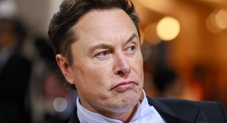 Elon Musk.Theo Wargo/WireImage