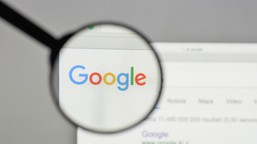 polityka na pierwszym miejscu. czym żyli polscy internauci w 2025 roku