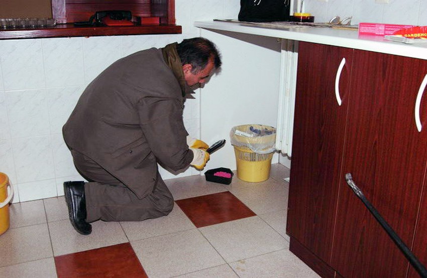 Omiljeno mesto miševa:Kuhinja u jednom novosadskom stanu