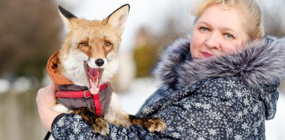 Wszędzie wlezie i kradnie mi jajka