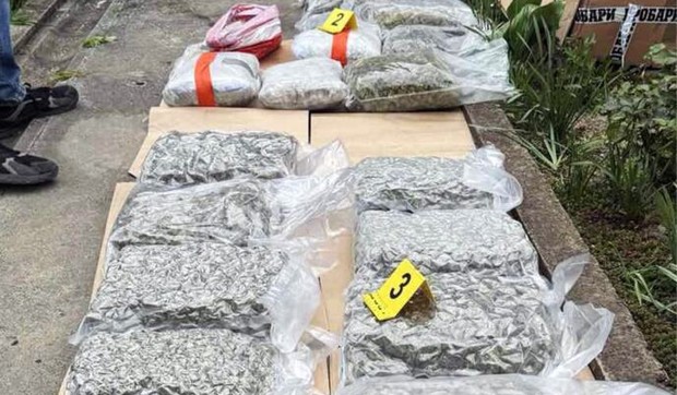 Zaplenjena marihuana u Kikindi