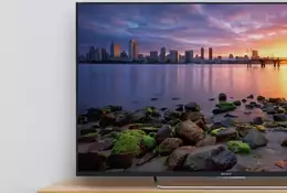 65-calowy telewizor Sony w atrakcyjnej promocji. Ma 120 Hz i HDMI 2.1