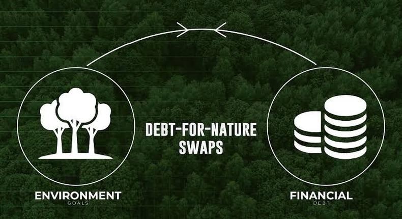 Debt for nature swap