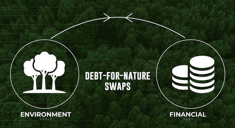 Debt for nature swap