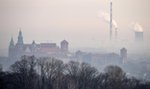 Instalacje, które pochłaniają smog. Czy są naprawdę skuteczne?