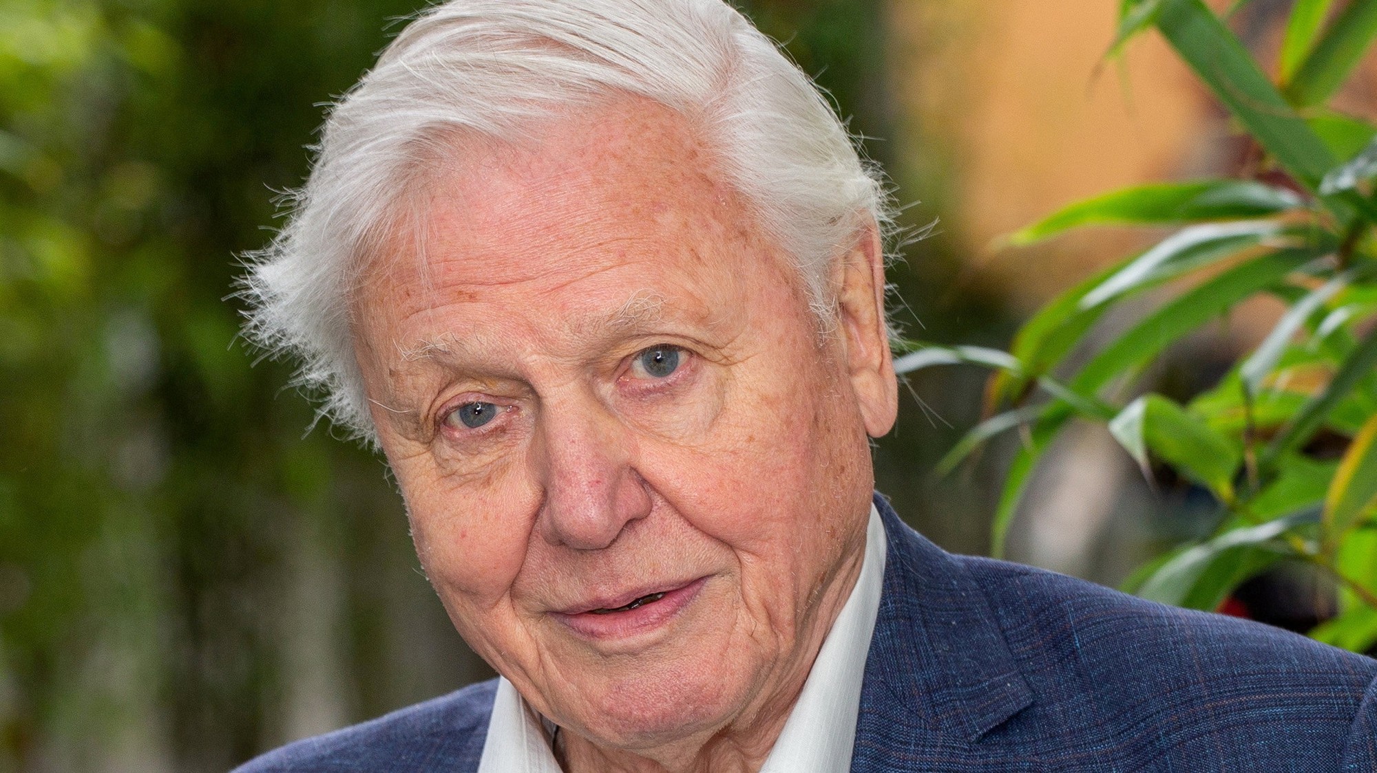 Na jeho pozemku sa nachádzala lebka zavraždenej ženy.