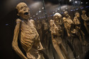 Kontrowersyjna wystawa mumii z Guanajuato.  Dziedzictwo czy bezczeszczenie zwłok?