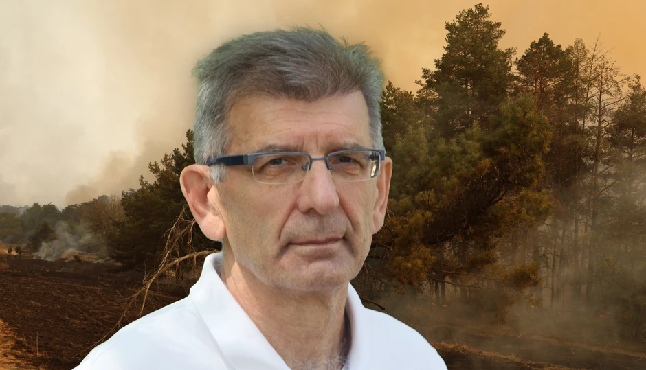  Nedeljko Todorović