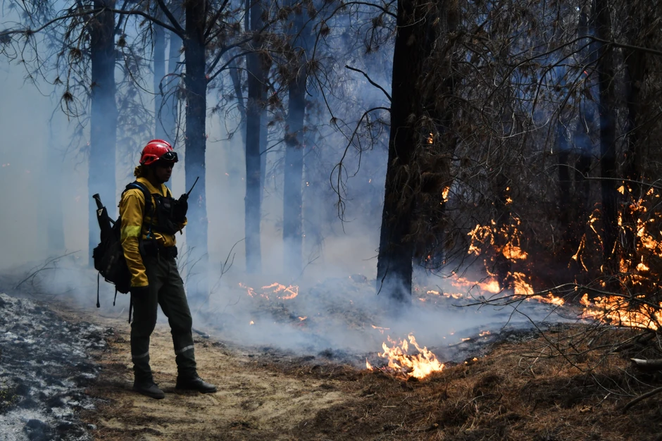 Šumski požari u Epujenu u Patagoniji, Argentina, 11. januara